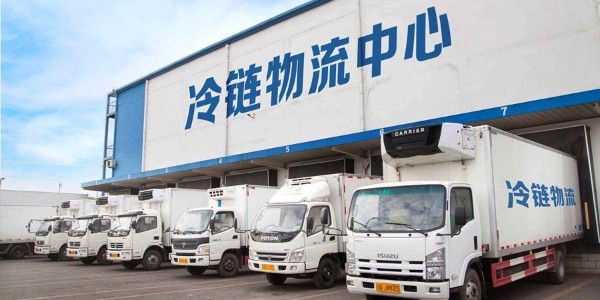 適合冷鏈運輸的宅男视频下载周轉箱