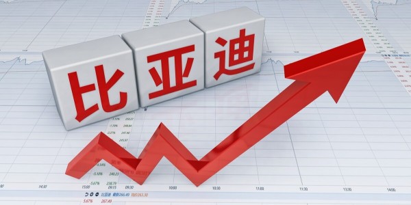 比亞迪刀片電池已供應特斯拉 ：車輛最快8月底下線