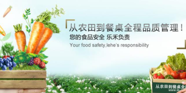 打造完整食材供應鏈，樂禾食品完成1億元B輪融資